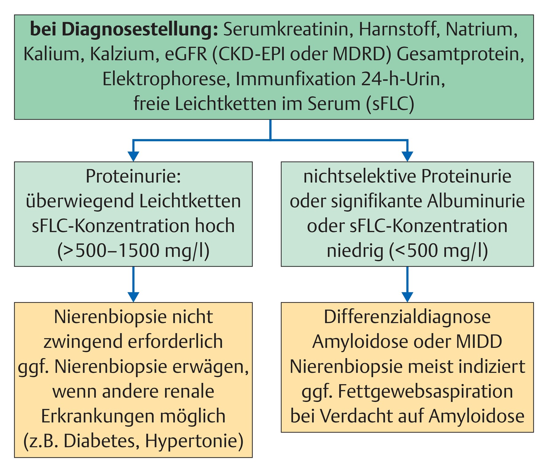 Abb.7.15 Multiples-Myelom-und-MGUS_Referenz-Nephrologie